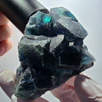 Spécimen de cube de fluorite fantôme, poche papillon bleue, Okorusu, Namibie 69*52*28mm #12105 