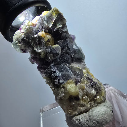 Colorful Phantom Fluorite, Muscovite, Hyalite, Smoky Quartz Erongo, Namibia 60*34*24mm #12114 