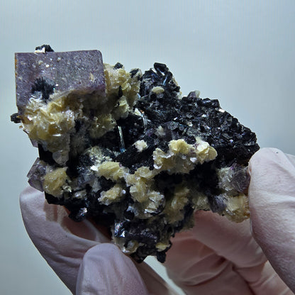 Spécimen de fluorite fantôme colorée, tourmaline schorl et muscovite d'Erongo, Namibie, 49 x 41 x 37 mm, n° 12124