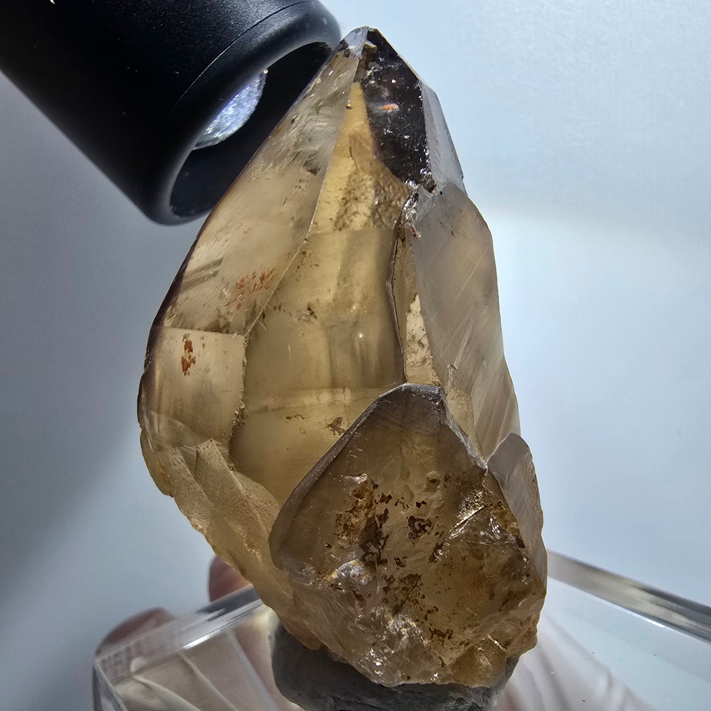 Clear smoky quartz scepter tip Erongo, Namibia 53*45*39mm #12139