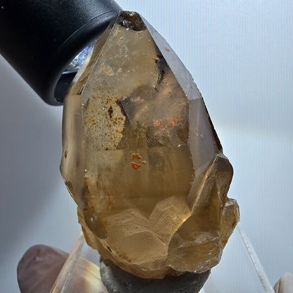 Clear smoky quartz scepter tip Erongo, Namibia 53*45*39mm #12139