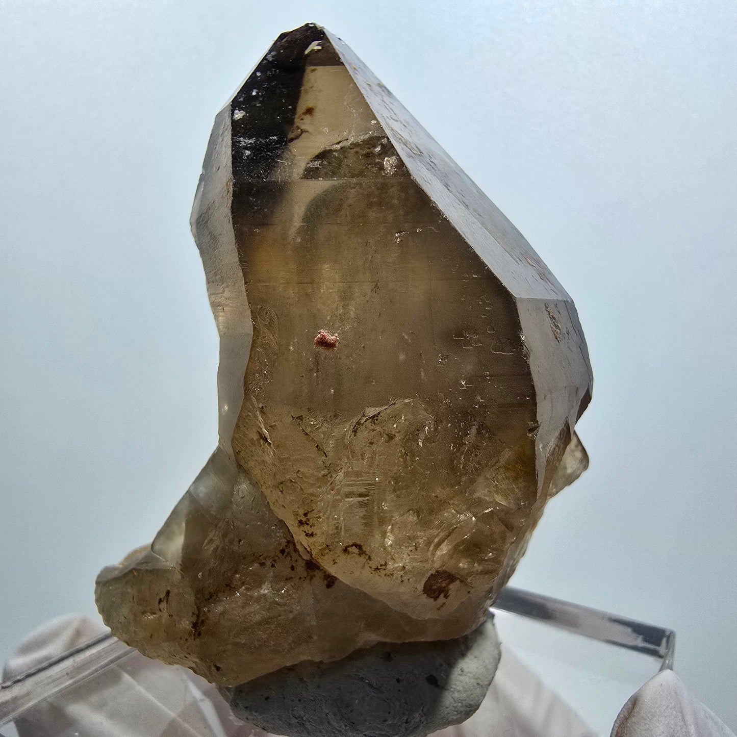 Clear smoky quartz scepter tip Erongo, Namibia 53*45*39mm #12139
