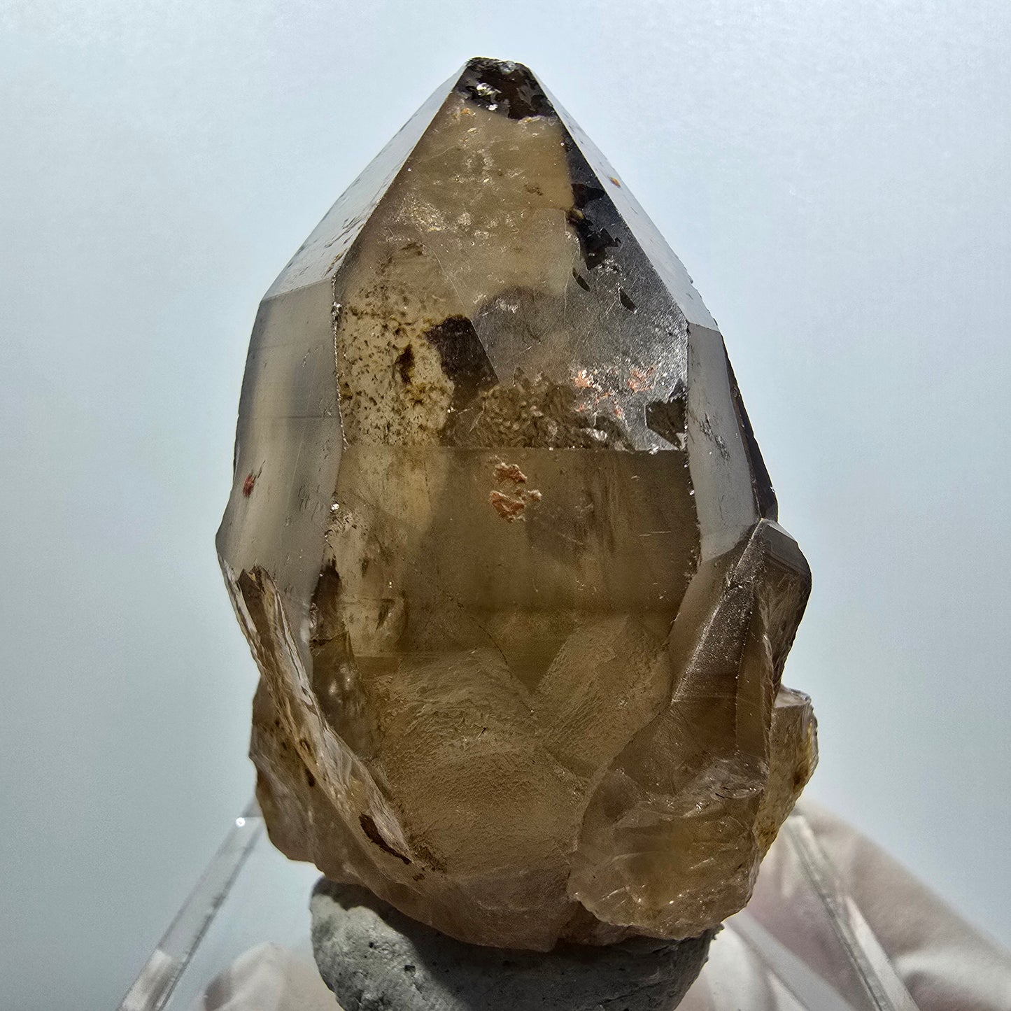 Clear smoky quartz scepter tip Erongo, Namibia 53*45*39mm #12139