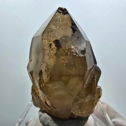 Clear smoky quartz scepter tip Erongo, Namibia 53*45*39mm #12139