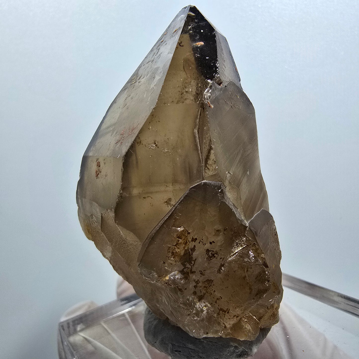 Clear smoky quartz scepter tip Erongo, Namibia 53*45*39mm #12139