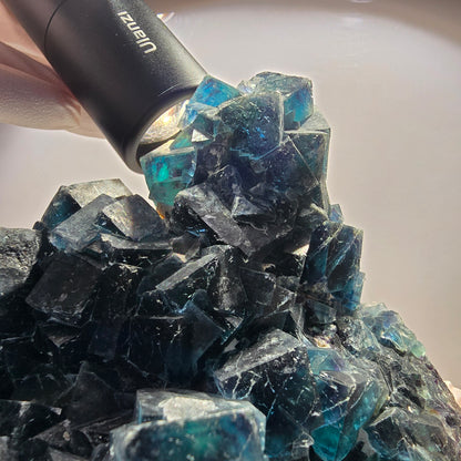 Cube XL Phantom Fluorite Step, poche papillon bleue, Namibie 120*104*76 mm 