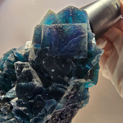Cube XL Phantom Fluorite Step, poche papillon bleue, Namibie 120*104*76 mm 