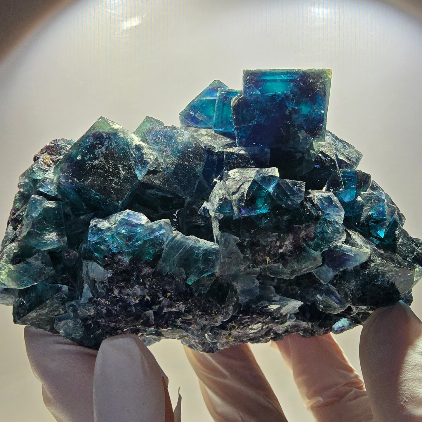 XL Phantom Fluorite Cube Stage, blue Butterfly Pocket, Namibia 111*81*76mm 