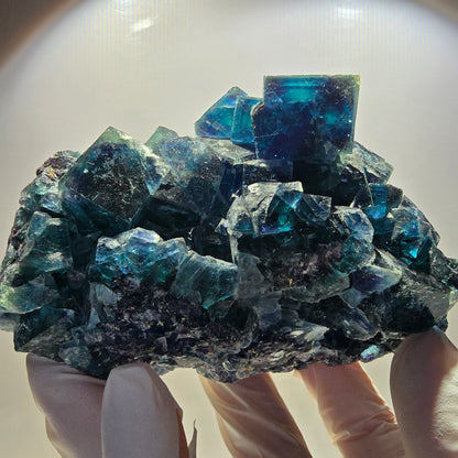 XL Phantom Fluorite Cube Stage, blue Butterfly Pocket, Namibia 111*81*76mm 