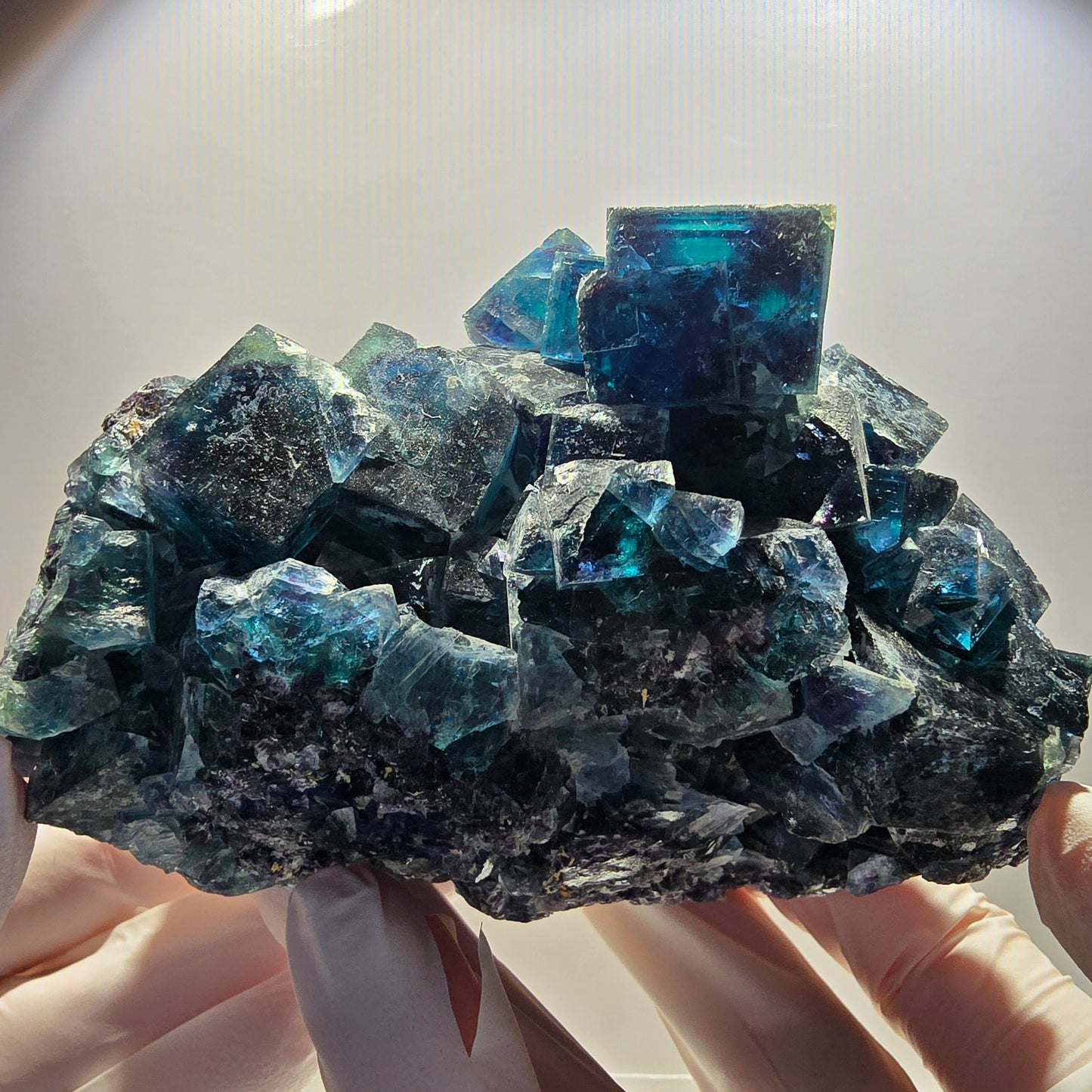 XL Phantom Fluorite Cube Stage, blue Butterfly Pocket, Namibia 111*81*76mm 