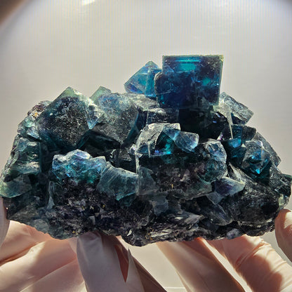 XL Phantom Fluorite Cube Stage, blue Butterfly Pocket, Namibia 111*81*76mm 