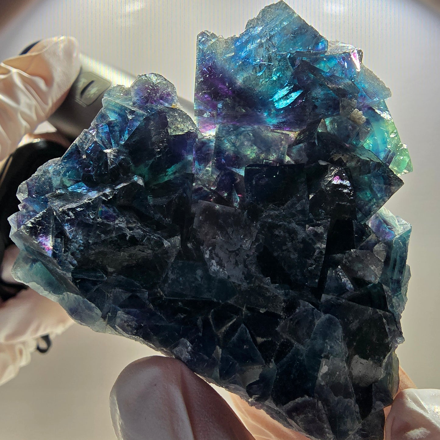 Spécimen cubique de fluorite fantôme, poche papillon bleue, Okorusu, Namibie 67*61*20 mm 