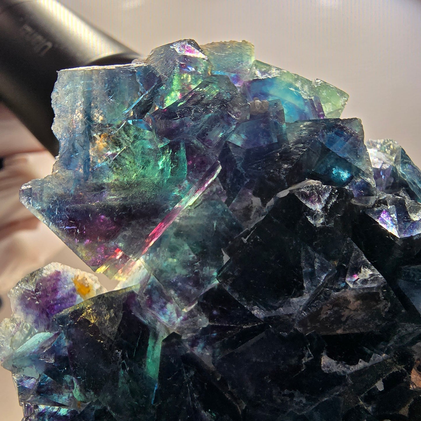 Spécimen cubique de fluorite fantôme, poche papillon bleue, Okorusu, Namibie 67*61*20 mm 