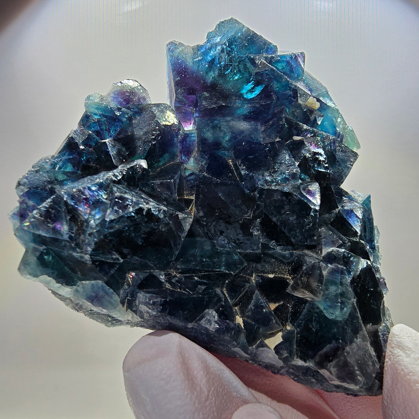 Spécimen cubique de fluorite fantôme, poche papillon bleue, Okorusu, Namibie 67*61*20 mm 
