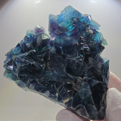 Spécimen cubique de fluorite fantôme, poche papillon bleue, Okorusu, Namibie 67*61*20 mm 