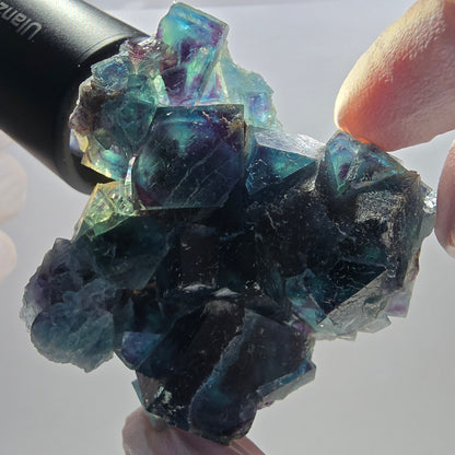 Spécimen cubique de fluorite fantôme, poche papillon bleue, Okorusu, Namibie 64*62*22 mm 