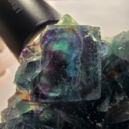 Spécimen cubique de fluorite fantôme, poche papillon bleue, Okorusu, Namibie 64*62*22 mm 