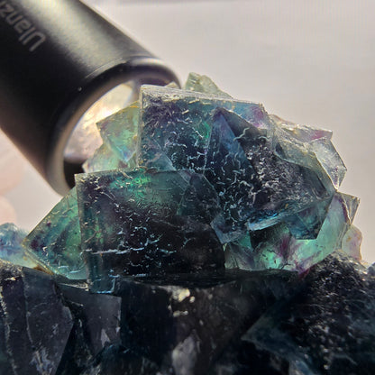 Spécimen cubique de fluorite fantôme, poche papillon bleue, Okorusu, Namibie 64*62*22 mm 