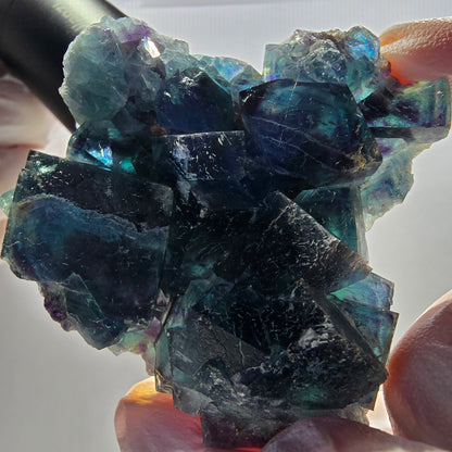 Spécimen cubique de fluorite fantôme, poche papillon bleue, Okorusu, Namibie 64*62*22 mm 
