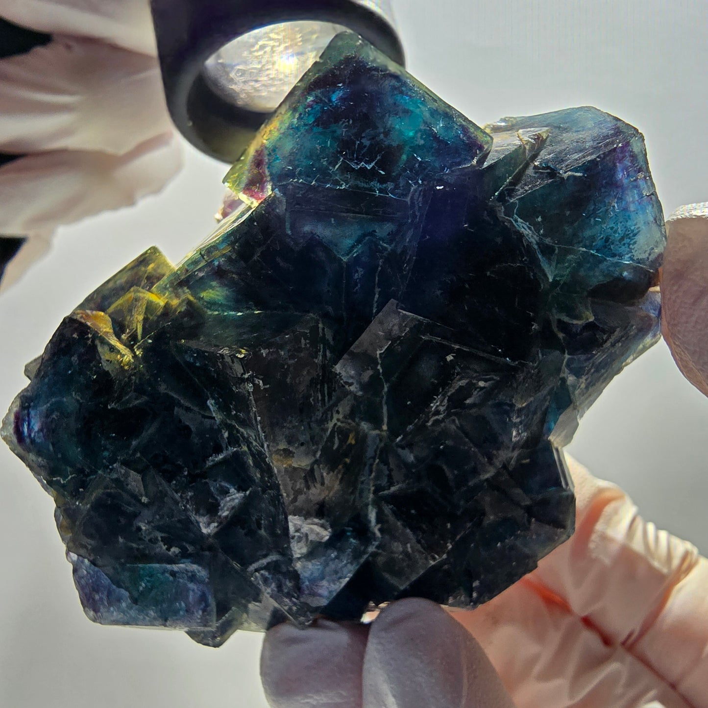 Phantom Fluorite Cube Specimen, blue Butterfly Pocket, Okorusu, Namibia 63*54*49mm 