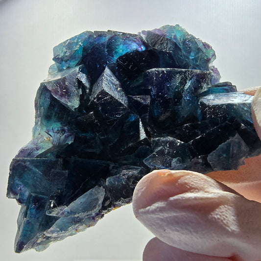 Phantom Fluorite Cube Stage, blue Butterfly Pocket, Okorusu, Namibia 65*50*17mm 