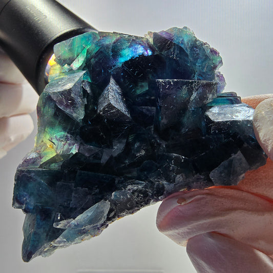 Phantom Fluorite Cube Stage, blue Butterfly Pocket, Okorusu, Namibia 65*50*17mm 