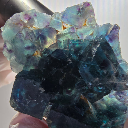 Phantom Fluorite Cube Specimen, blue Butterfly Pocket, Okorusu, Namibia 74*43*19mm 