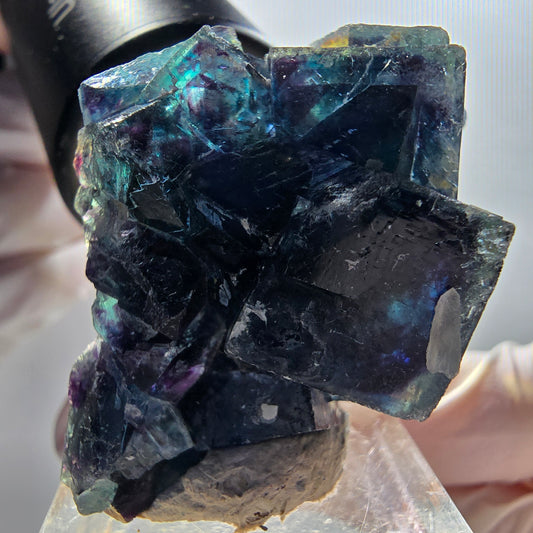 Phantom Fluorite Cube Stage, blue Butterfly Pocket, Okorusu, Namibia 46*30*19mm 