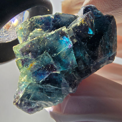 Phantom Fluorit Würfel Stufe, blau Butterfly Pocket, Okorusu, Namibia 46*30*19mm