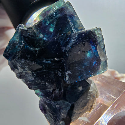 Phantom Fluorit Würfel Stufe, blau Butterfly Pocket, Okorusu, Namibia 46*30*19mm