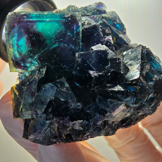 Phantom Fluorite Cube Stage, blue Butterfly Pocket, Okorusu, Namibia 59*45*26mm 