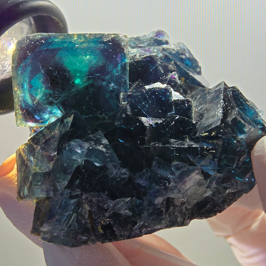 Phantom Fluorite Cube Stage, blue Butterfly Pocket, Okorusu, Namibia 59*45*26mm 