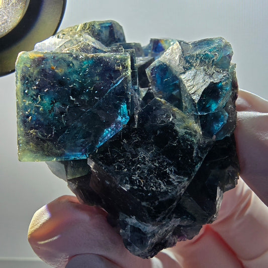 Phantom Fluorite Cube Stage, blue Butterfly Pocket, Okorusu, Namibia 65*45*30mm 