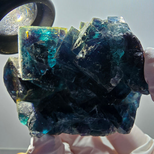 Phantom Fluorite Cube Stage, blue Butterfly Pocket, Okorusu, Namibia 65*45*30mm 