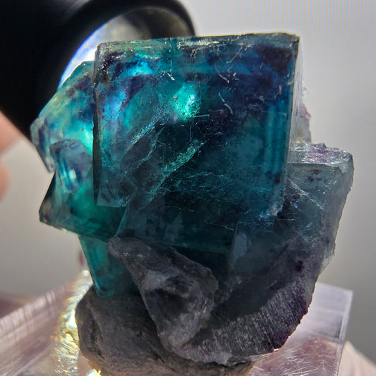Phantom Fluorite Cube Specimen, blue Butterfly Pocket, Okorusu, Namibia 29*26*18mm 