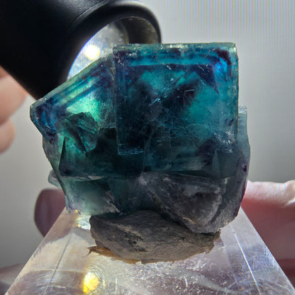 Phantom Fluorit Würfel Stufe, blau Butterfly Pocket, Okorusu, Namibia 29*26*18mm