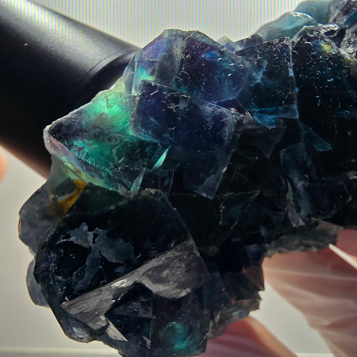 Phantom Fluorite Cube Specimen, blue Butterfly Pocket, Okorusu, Namibia 96*51*30mm 