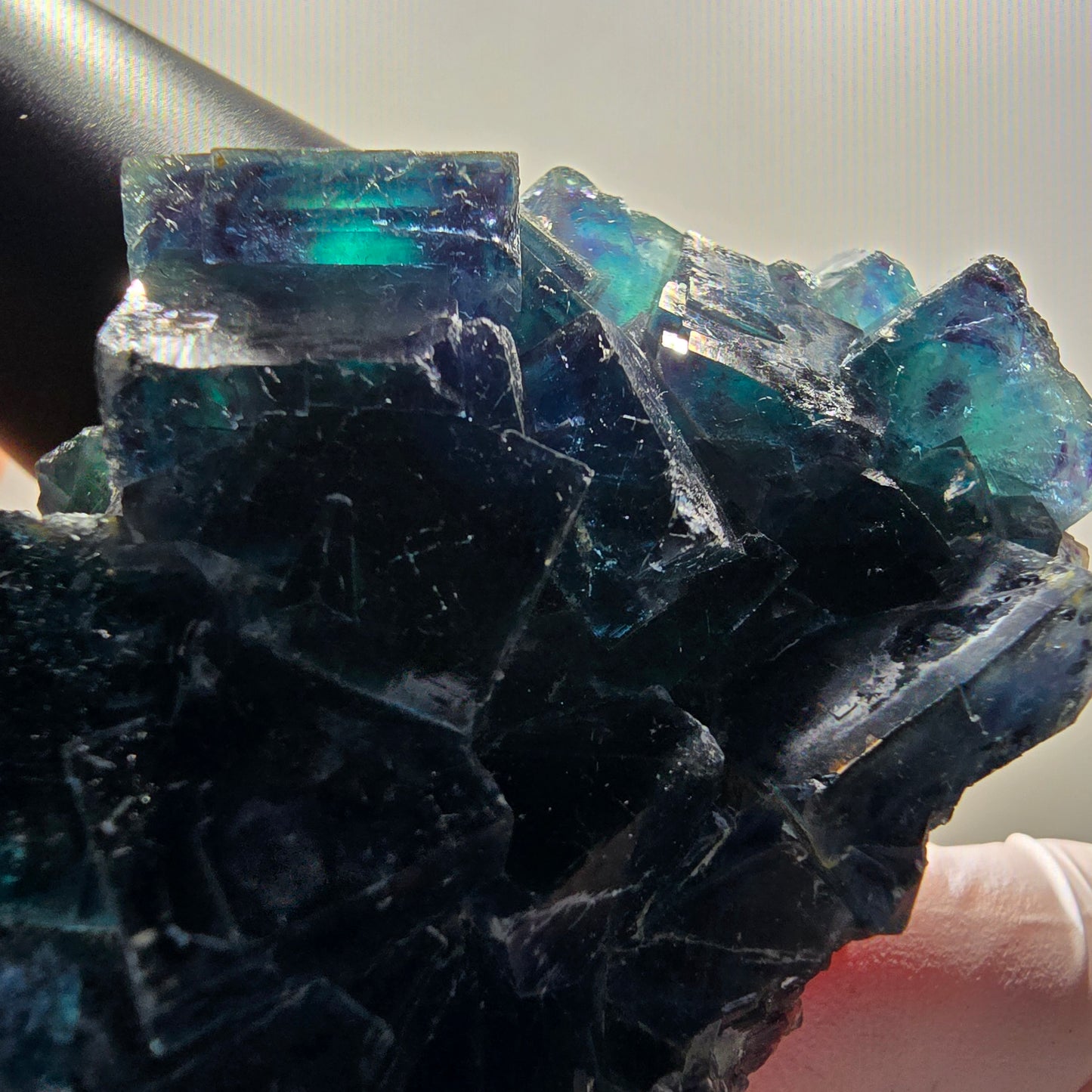 Phantom Fluorite Cube Specimen, blue Butterfly Pocket, Okorusu, Namibia 96*51*30mm 