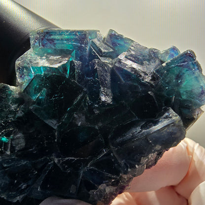 Phantom Fluorite Cube Specimen, blue Butterfly Pocket, Okorusu, Namibia 96*51*30mm 