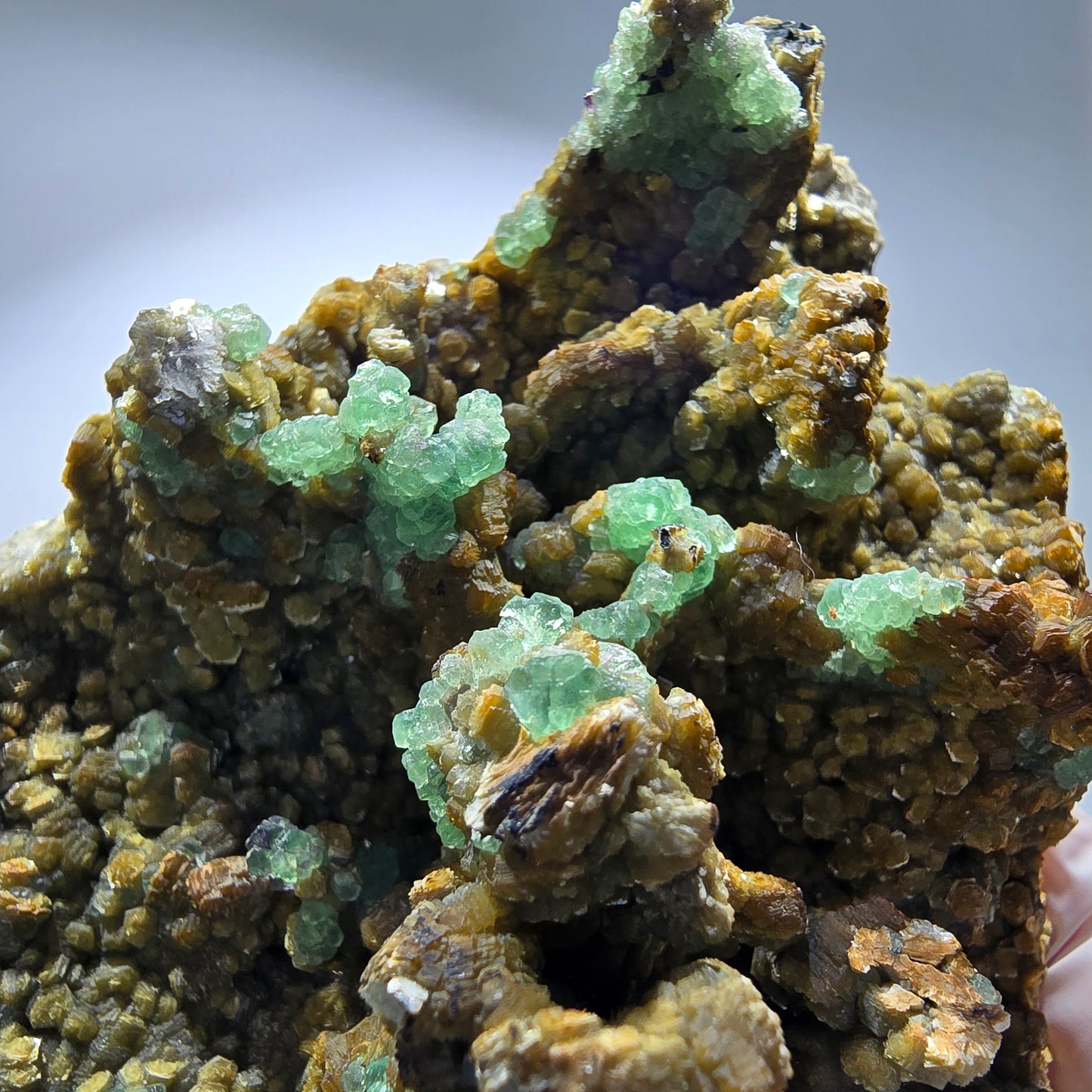 XL Phantom Fluorite, Muscovite, Schorl Tourmaline Specimen Erongo, Namibia 153*94*46mm #12168 