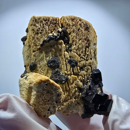 Rare spécimen de tourmaline schorl et d'orthose, Erongo, Namibie, 67 x 54 x 39 mm, n° 12172 
