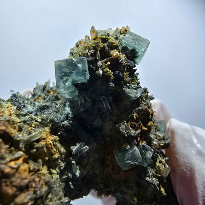 Rare fluorite, schorl tourmaline specimen, green-blue, Erongo, Namibia, 75*37*37mm #12181 
