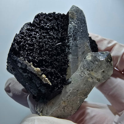 Rare schorl tourmaline, smoky quartz scepter, muscovite specimen Erongo, Namibia 70*45*52mm #12199 