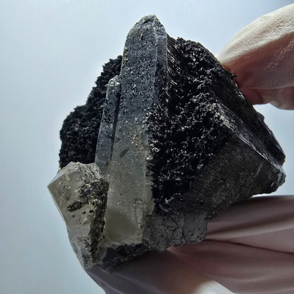 Rare schorl tourmaline, smoky quartz scepter, muscovite specimen Erongo, Namibia 70*45*52mm #12199 