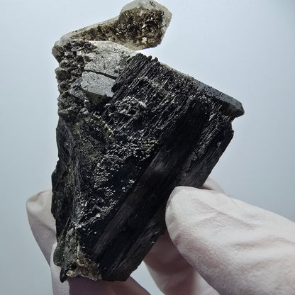 Rare schorl tourmaline, smoky quartz scepter, muscovite specimen Erongo, Namibia 70*45*52mm #12199 
