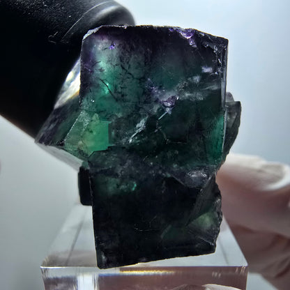 Cube de fluorite fantôme à degrés, tessellé, vert violet Okorusu, Namibie 42*35*28mm #12204 