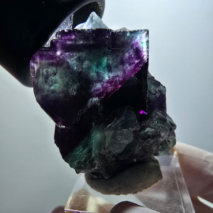Cube de fluorite fantôme à degrés, tessellé, vert-violet Okorusu, Namibie 43*32*29mm #12205 