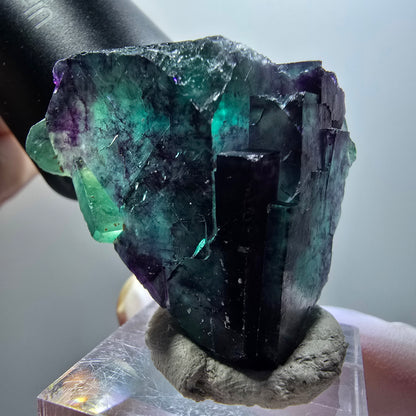 Cube de fluorite fantôme à degrés, tessellé, vert-violet Okorusu, Namibie 42*29*28mm #12209 