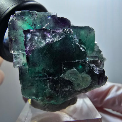 Cube de fluorite fantôme à degrés, tessellé, vert violet Okorusu, Namibie 39*35*25mm #12210 