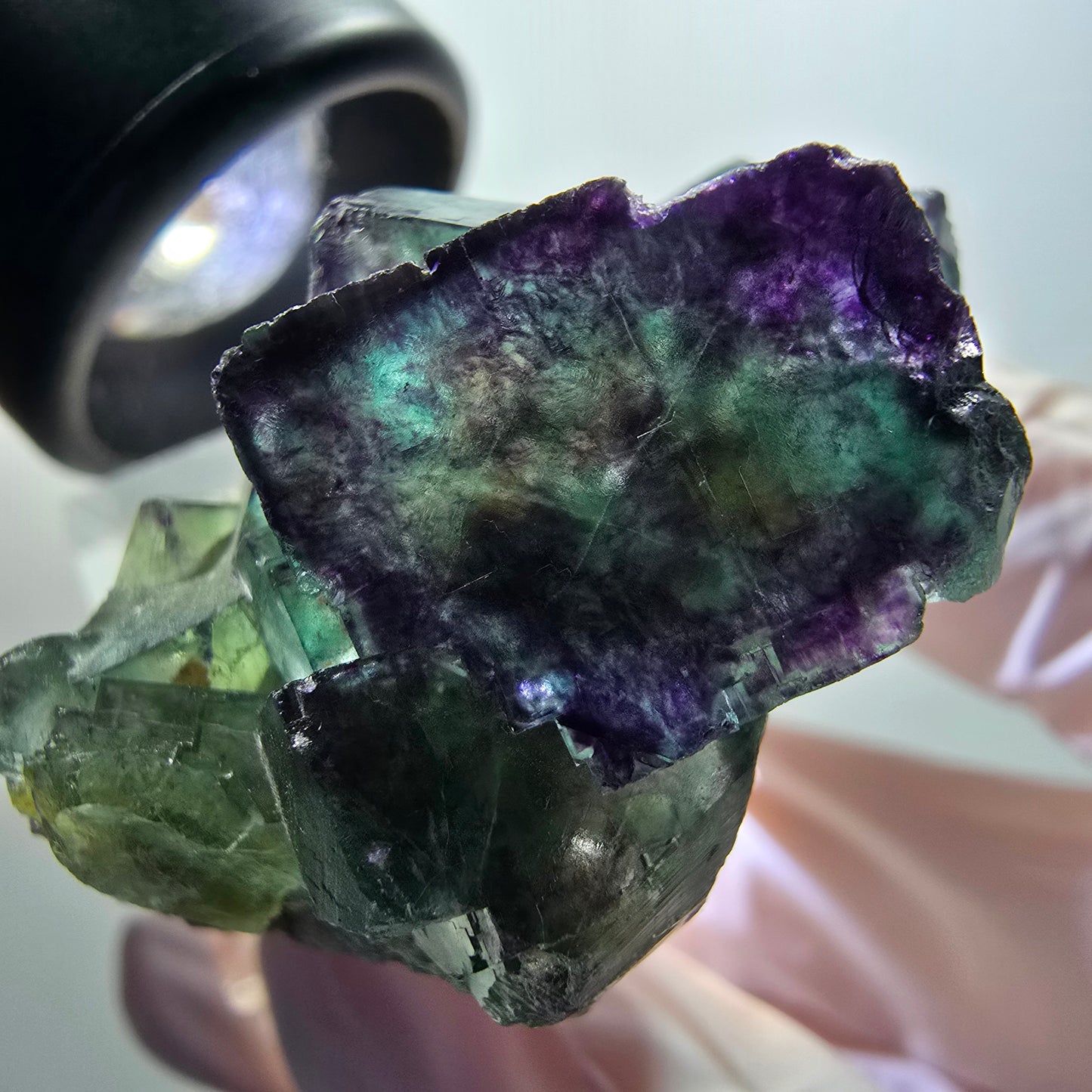 Cube de fluorite fantôme à degrés, tessellé, vert violet Okorusu, Namibie 43*35*22mm #12213 